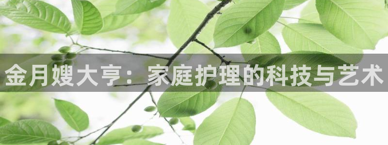 杏悦登录网址是什么