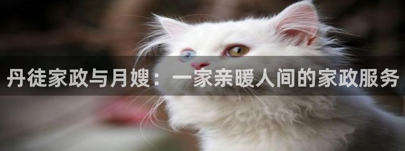 杏悦平台代理怎么赚钱的