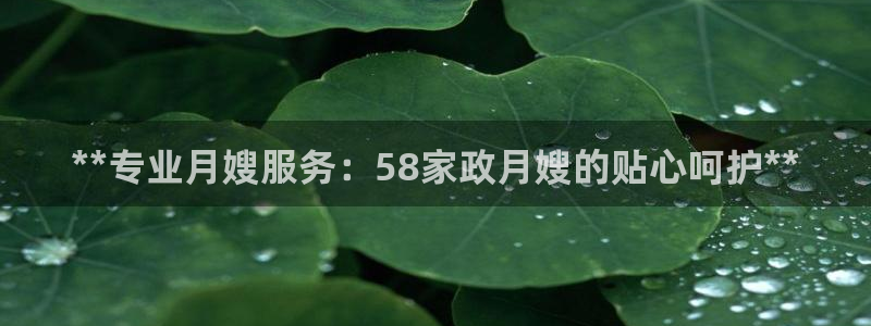 杏悦平台线路测速