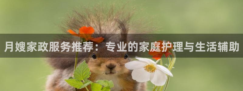 杏悦平台登录网址