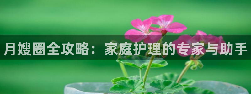 杏悦平台代理怎么做的