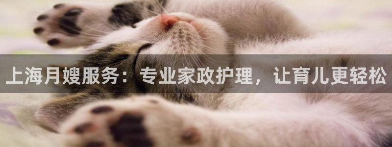 杏悦平台如何注册账号