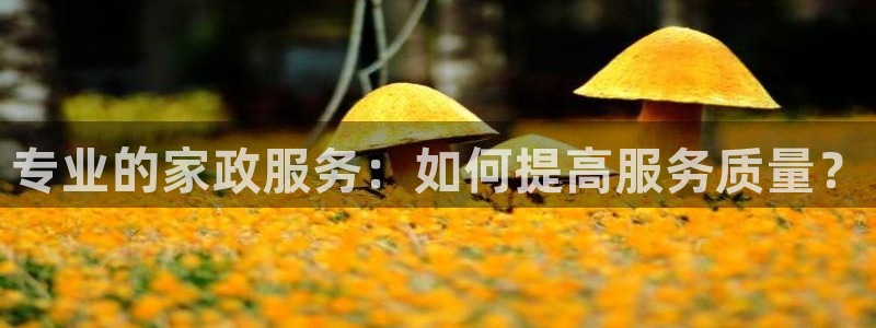 杏悦平台开户地址是什么