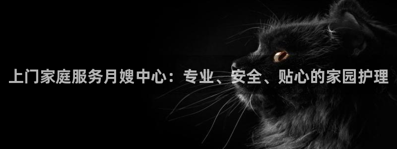 杏悦平台代理怎么赚钱