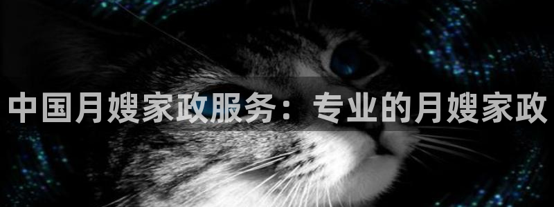 杏悦平台登录网址