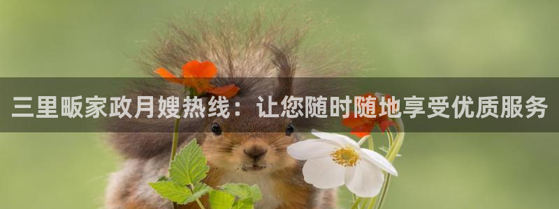 杏悦平台代理怎么样啊