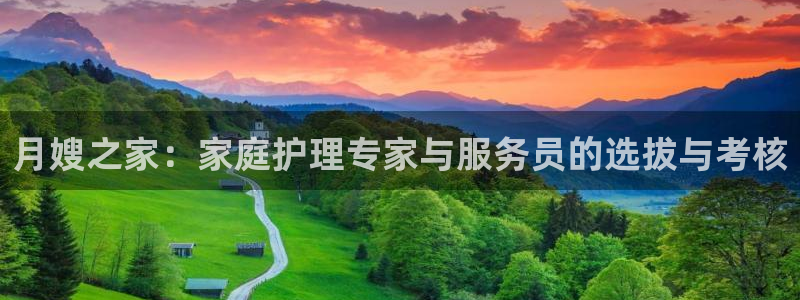 杏悦平台注册流程