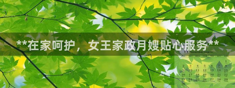 杏悦平台代理怎么样